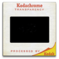 Stacks Image 4616752